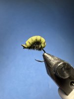 IMG_2742.jpeg
