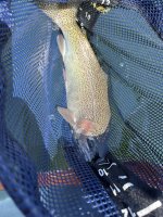 IMG_2741.jpeg