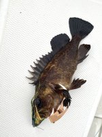 IMG_4904.jpeg