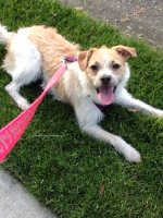 IMG_2017.JPG IMG_2017.JPG