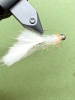 IMG_4470.jpeg