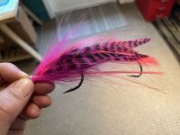 IMG_0453.jpeg