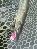 IMG_5580.jpeg