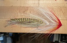 IMG_3264.jpeg