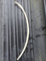 IMG_7452.jpeg