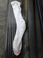 IMG_7454.jpeg