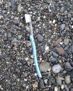 IMG_7450.jpeg