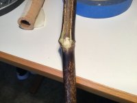 IMG_3800.jpeg
