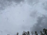 IMG_3222.jpeg