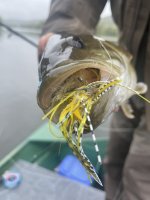 IMG_5636.jpeg