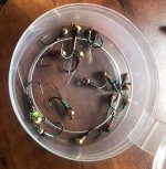 IMG_8049.jpeg