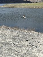 IMG_3853.jpg IMG_3853.jpg