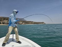 Oman Permit Fishing.jpg Oman Permit Fishing.jpg