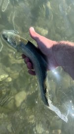IMG_9141.jpeg
