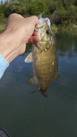 IMG_20240507_082054854.jpg