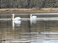 IMG_2396.jpeg
