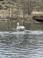 IMG_2401.jpeg