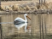 IMG_2398.jpeg