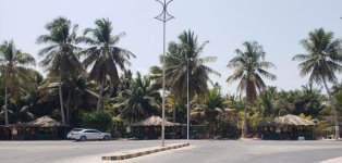 Coconut & Banana Vendors - Salalah.jpg Coconut & Banana Vendors - Salalah.jpg