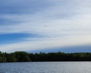 20240508_eagle.jpg