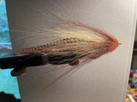IMG_3285.jpeg