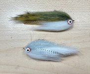 IMG_7098.jpeg