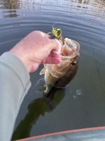 IMG_2761.jpeg