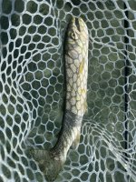 IMG_9167.jpeg