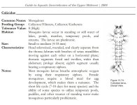 Culicidae.jpg