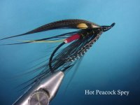 Hot Peacock Spey.jpg