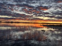 IMG_4124.jpeg
