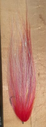 IMG_3289.jpeg