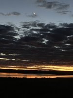 IMG_4142.jpeg
