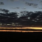 IMG_4143.jpeg IMG_4143.jpeg
