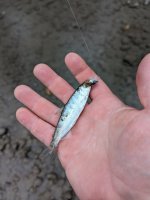 mini-rainbow-on-a-fly-v0-nw16yvbdoaqb1.jpg