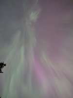 PXL_20240511_062828577.jpg