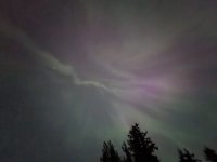 PXL_20240511_062916345.jpg
