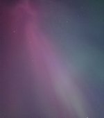 IMG_3019.jpeg