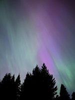 IMG_6961.jpeg