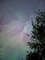 IMG_6954.jpeg