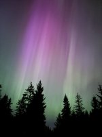 IMG_4956.jpeg