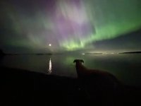 IMG_0241.jpeg