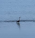 IMG_7491.jpeg