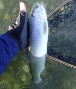 IMG_7556.jpeg