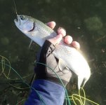 IMG_7555.jpeg