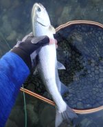 IMG_7554.jpeg