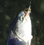IMG_7559.jpeg
