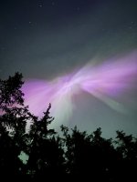 IMG_0186.jpeg