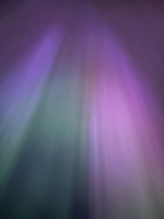 IMG_0211.jpeg