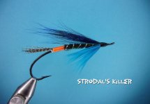 Strodal'sKiller.jpg